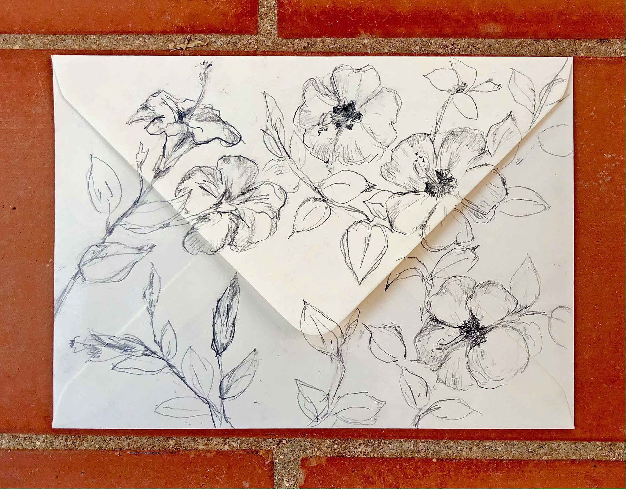 01 HibiskusCouvert 5462